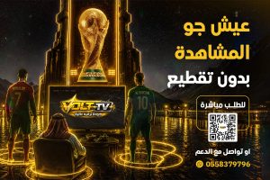 ما الفرق بين اشتراك سمارترز واشتراك هولك واشتراك فالكون؟ وأيهما الأفضل في 2026